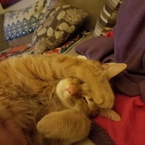 Meet your Posher, Eric